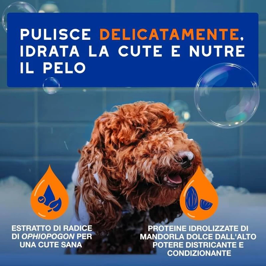 Ceva Animal Health Douxo spa - Shampooing et après-shampooing 2 en 1 : nettoyant hydratant et démêlant pour animaux de compagnie, 250 ml