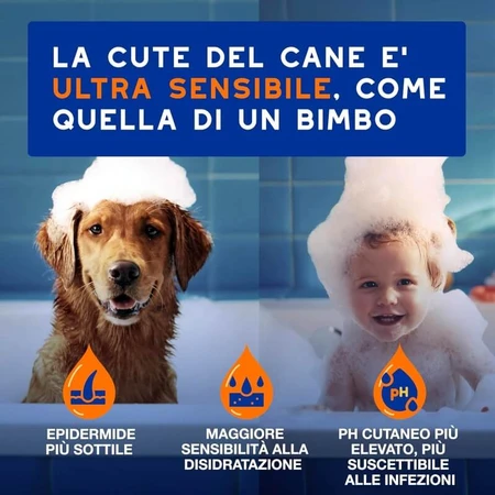 Ceva Animal Health Douxo spa - Shampooing et après-shampooing 2 en 1 : nettoyant hydratant et démêlant pour animaux de compagnie, 250 ml