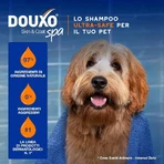 Ceva Animal Health Douxo spa - Shampooing et après-shampooing 2 en 1 : nettoyant hydratant et démêlant pour animaux de compagnie, 250 ml