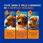 Ceva Animal Health Douxo spa - Shampooing et après-shampooing 2 en 1 : nettoyant hydratant et démêlant pour animaux de compagnie, 250 ml