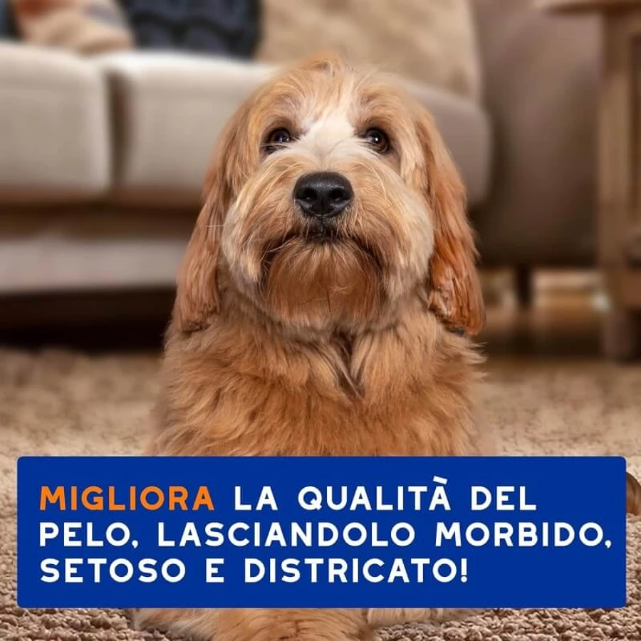 Ceva Animal Health Douxo spa - Shampooing et après-shampooing 2 en 1 : nettoyant hydratant et démêlant pour animaux de compagnie, 250 ml