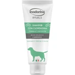 Inodorina beschermende desinfecterende shampoo met chloorhexidine, 250 ml