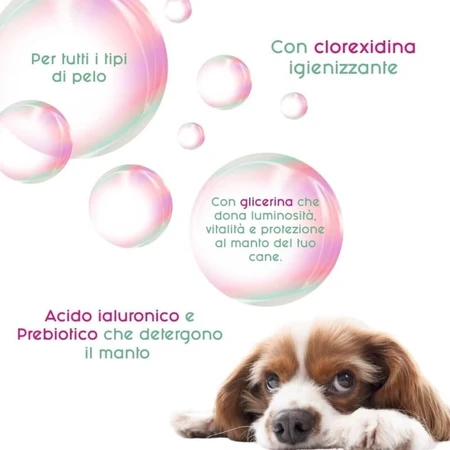 Inodorina beschermende desinfecterende shampoo met chloorhexidine, 250 ml