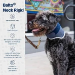 Balto Neck - collare rigido ortopedico protettivo per convalescenza taglia m