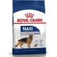Royal Canin Maxi Adult - Alimento completo para perros adultos de razas grandes, 12 kg