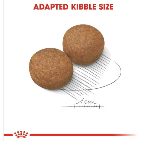 Royal Canin Maxi Adult - Alimento completo para perros adultos de razas grandes, 12 kg