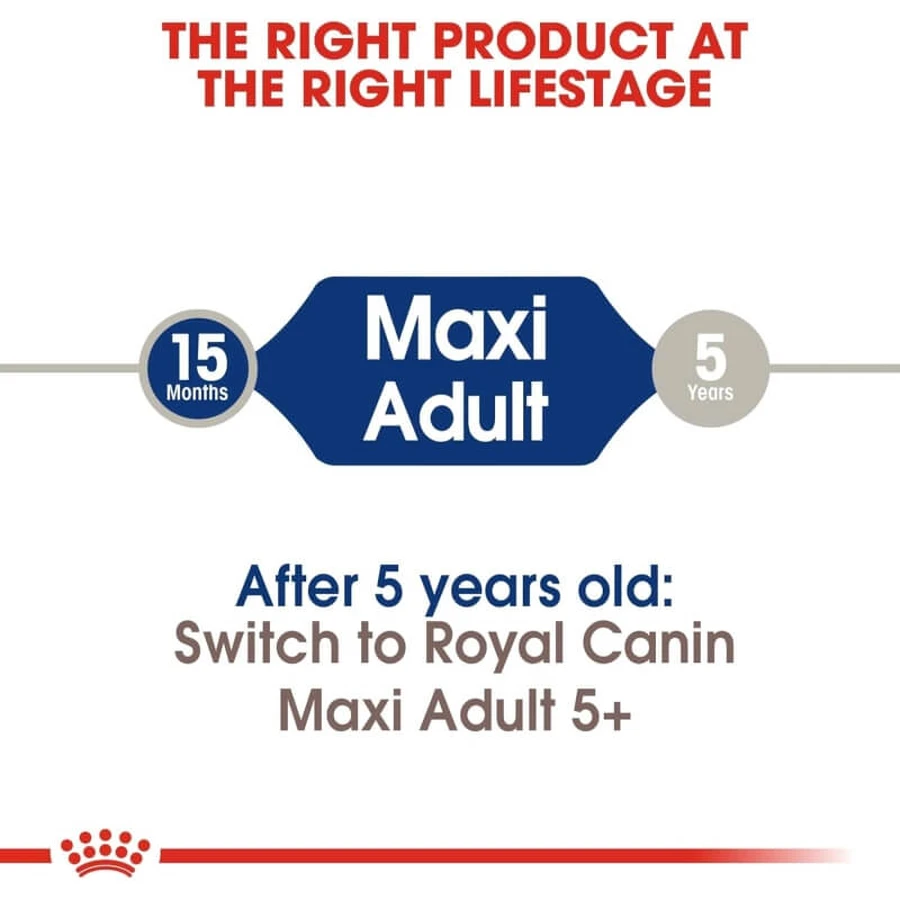 Royal Canin Maxi Adult - Alimento completo para perros adultos de razas grandes, 12 kg