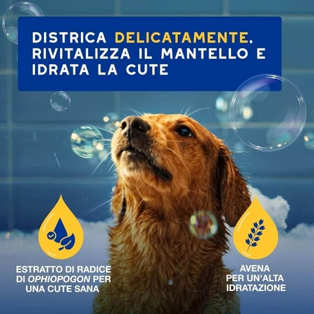 Ceva Animal Health Douxo spa Skin &amp; Coat - Acondicionador hidratante para el pelaje y el cuero cabelludo con avena, 250 ml