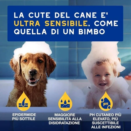 Ceva Animal Health Douxo spa Skin &amp; Coat - Acondicionador hidratante para el pelaje y el cuero cabelludo con avena, 250 ml