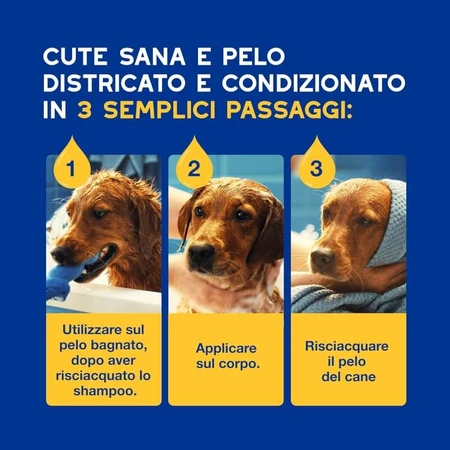 Ceva Animal Health Douxo spa Skin &amp; Coat - Acondicionador hidratante para el pelaje y el cuero cabelludo con avena, 250 ml