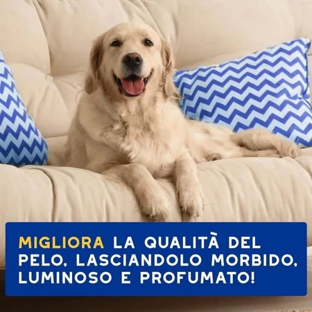 Ceva Animal Health Douxo spa Skin &amp; Coat - Acondicionador hidratante para el pelaje y el cuero cabelludo con avena, 250 ml