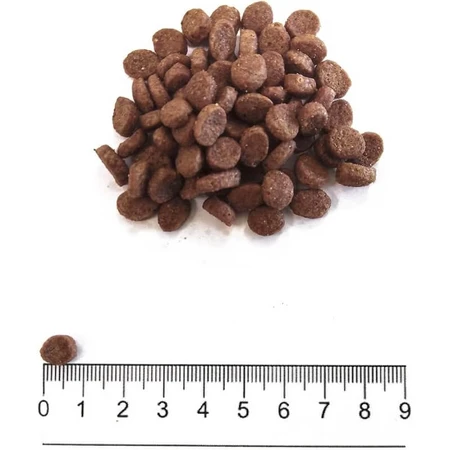 Prolife Dog Mini Sensitive Lamm & Reis – Alleinfuttermittel für kleine erwachsene Hunde, 2 kg