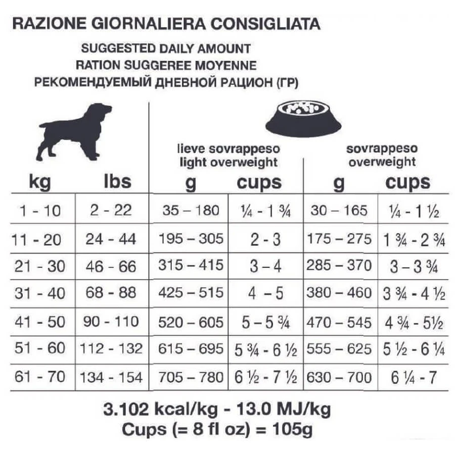 Forza10 Forza 10 Weight Control Active Pește – hrană completă pentru câini adulți, destinată controlului greutății, 4 kg