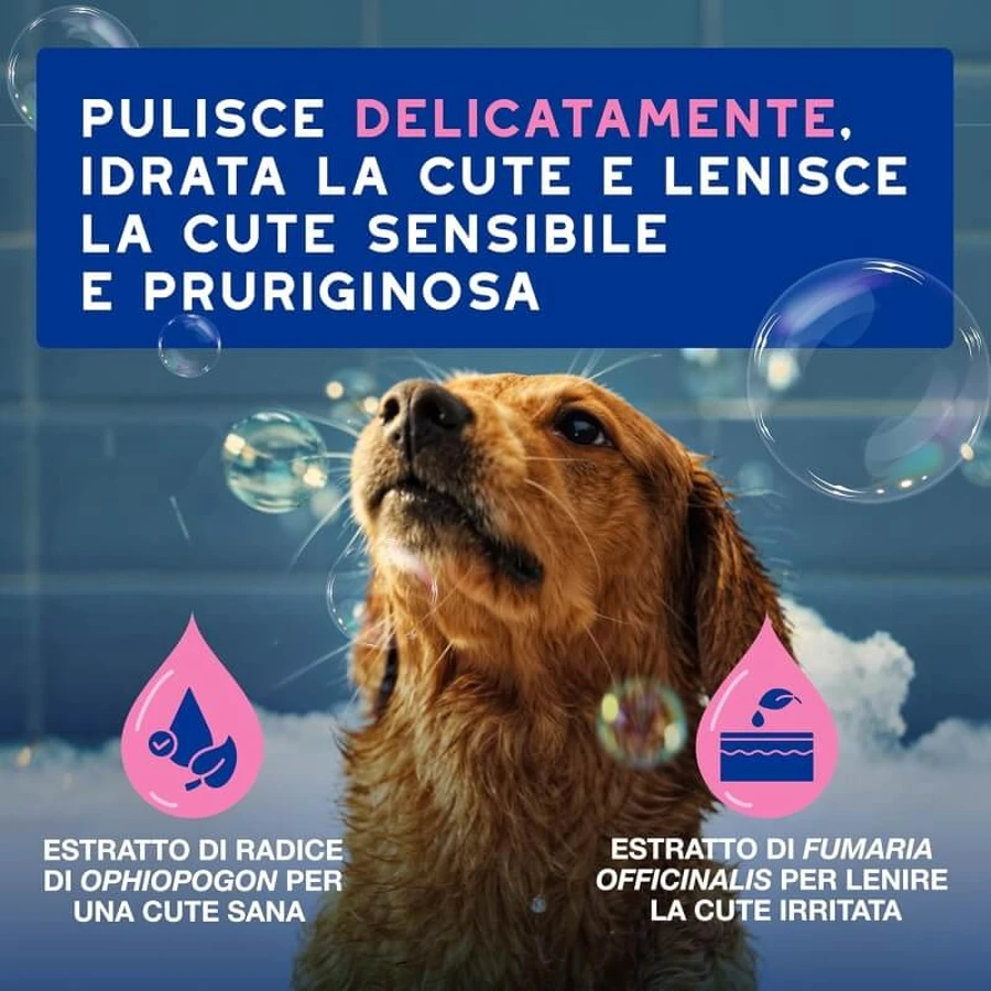 Ceva Animal Health Douxo, S.p.A. – Beruhigendes, feuchtigkeitsspendendes Shampoo für empfindliche und juckende Haut, 250 ml
