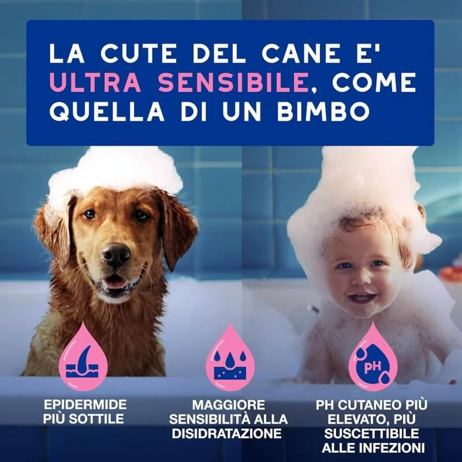 Ceva Animal Health Douxo, S.p.A. – Beruhigendes, feuchtigkeitsspendendes Shampoo für empfindliche und juckende Haut, 250 ml