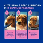 Ceva Animal Health Douxo, S.p.A. – Beruhigendes, feuchtigkeitsspendendes Shampoo für empfindliche und juckende Haut, 250 ml