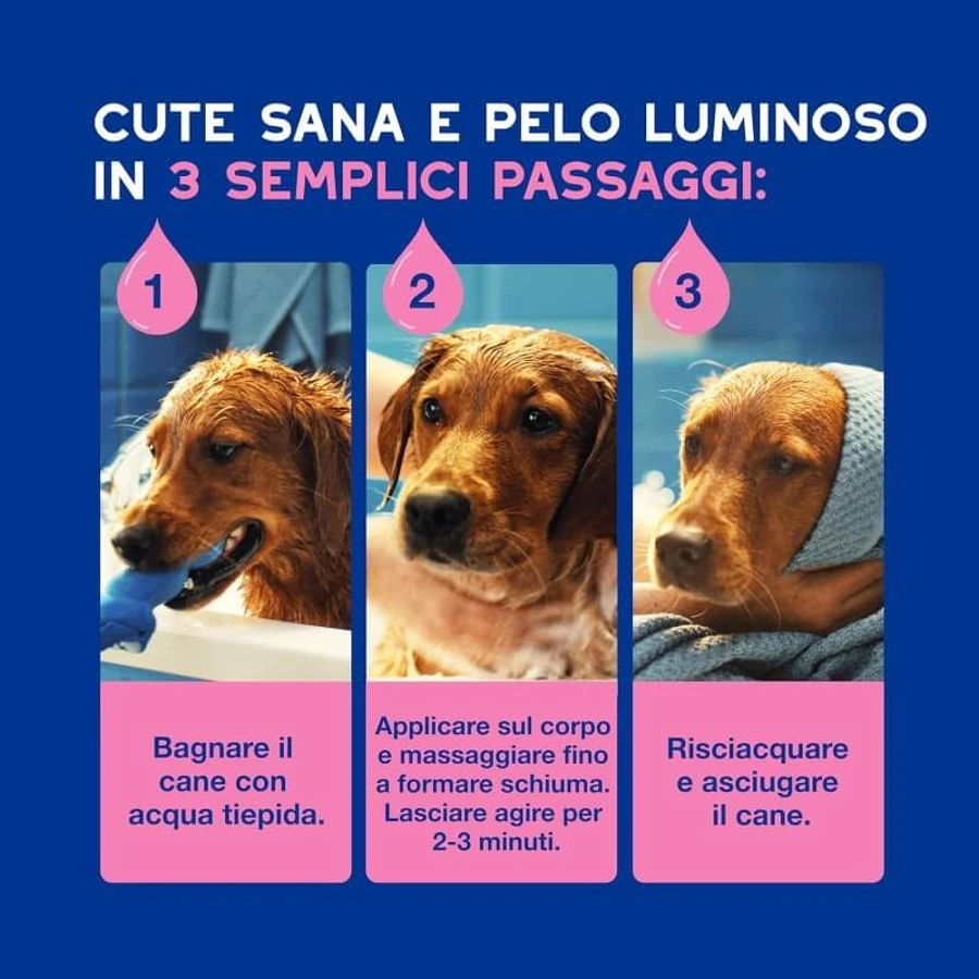 Ceva Animal Health Douxo, S.p.A. – Beruhigendes, feuchtigkeitsspendendes Shampoo für empfindliche und juckende Haut, 250 ml