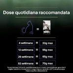 Purina Pro Plan LiveClear Pavo - Alimento completo para gatitos, 1,4 kg