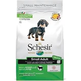 Schesir Small Maintenance Small Adult All-Lamb - Compleet voer voor kleine volwassen honden, 800 g