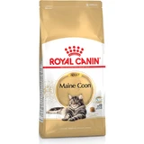Royal Canin Maine Coon Adult - Compleet voer voor volwassen katten, 400 g