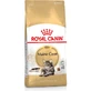 Royal Canin Maine Coon Adult - Compleet voer voor volwassen katten, 400 g