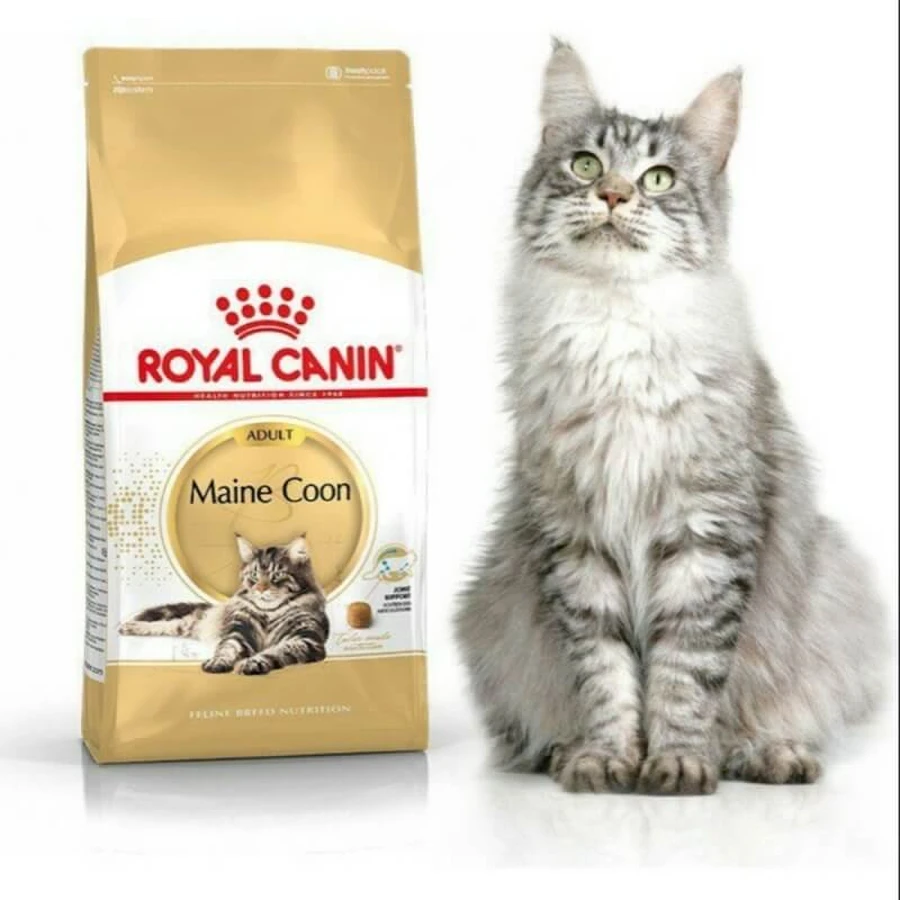 Royal Canin Maine Coon Adult - Compleet voer voor volwassen katten, 400 g