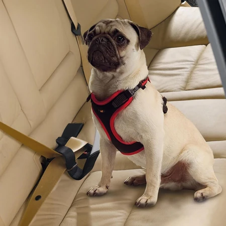 Ferplast Dog travel belt - cintura di sicurezza per cani in auto universale anti-strappo fino a 45 kg