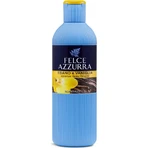 Blue Fern Ebony and Vanilla – Duschgel 650 ml