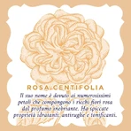 Roberts Rose - Gedestilleerd rozenwater, verfrissende toner, 100 ml