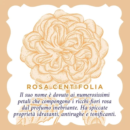 Roberts Rose - Gedestilleerd rozenwater, verfrissende toner, 100 ml