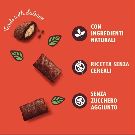 Lily's Kitchen Treats Salmon - Salmon Snacks for Cats 60 g 60 g