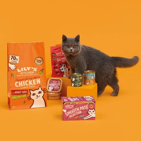 Lily's Kitchen Treats Salmon - Salmon Snacks for Cats 60 g 60 g