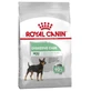 Royal Canin Digestive Care Mini – Alleinfuttermittel für kleine erwachsene Hunde mit empfindlichem Verdauungssystem, 3 kg