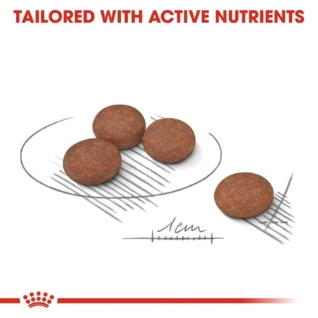 Royal Canin Digestive Care Mini – Alleinfuttermittel für kleine erwachsene Hunde mit empfindlichem Verdauungssystem, 3 kg