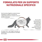 Royal Canin Gastrointestinal Hairball – Trockenfutter für Katzen mit Verdauungsproblemen und Haarballen, 2 kg