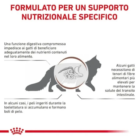 Royal Canin Gastrointestinal Hairball – Trockenfutter für Katzen mit Verdauungsproblemen und Haarballen, 2 kg