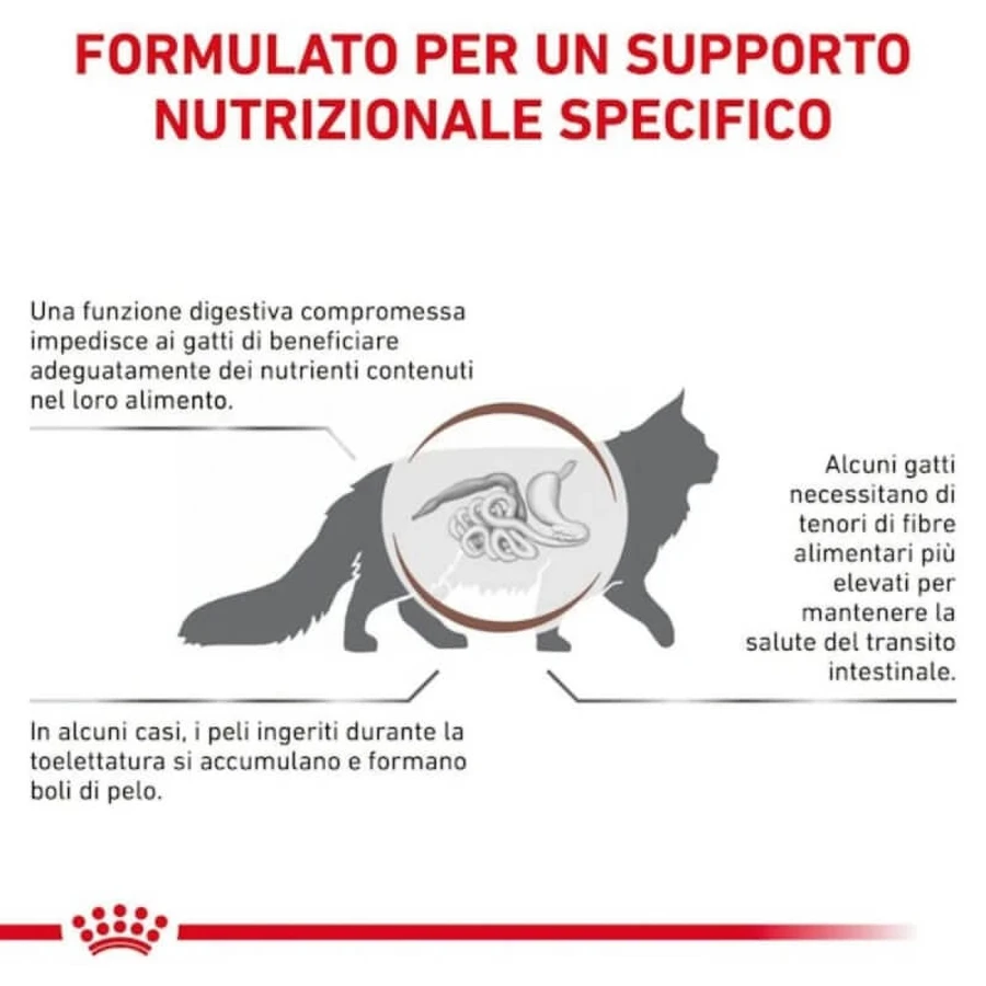 Royal Canin Gastrointestinal Hairball – Trockenfutter für Katzen mit Verdauungsproblemen und Haarballen, 2 kg