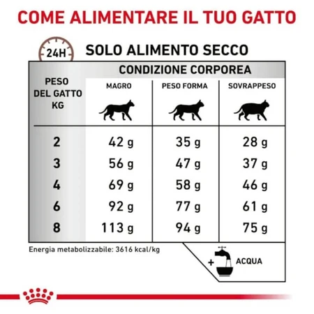 Royal Canin Gastrointestinal Hairball – Trockenfutter für Katzen mit Verdauungsproblemen und Haarballen, 2 kg