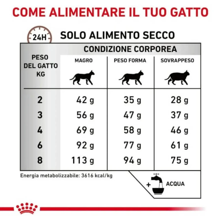 Royal Canin Gastrointestinal Hairball – Trockenfutter für Katzen mit Verdauungsproblemen und Haarballen, 2 kg