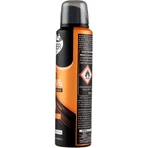 Sauber Men Deoactive Sport &amp; Stress - Déodorant spray invisible, 150 ml