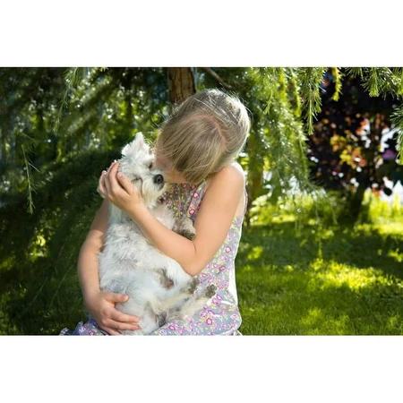 Livisto Fiprex Duo M - Ontwormingsmiddel voor honden met een gewicht van 10–20 kg, 1,34 ml