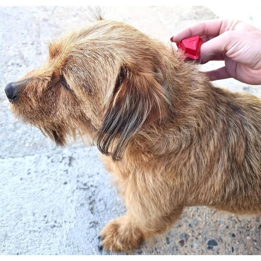 Livisto Fiprex Duo M - Ontwormingsmiddel voor honden met een gewicht van 10–20 kg, 1,34 ml