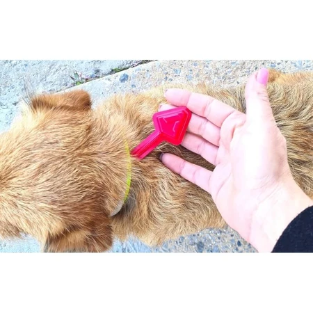 Livisto Fiprex Duo M - Ontwormingsmiddel voor honden met een gewicht van 10–20 kg, 1,34 ml