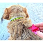 Livisto Fiprex Duo M - Ontwormingsmiddel voor honden met een gewicht van 10–20 kg, 1,34 ml