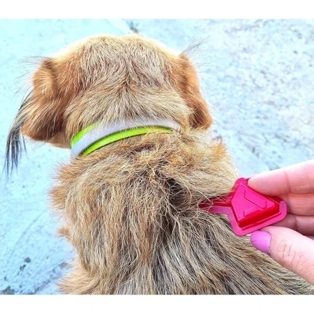 Livisto Fiprex Duo M - Ontwormingsmiddel voor honden met een gewicht van 10–20 kg, 1,34 ml