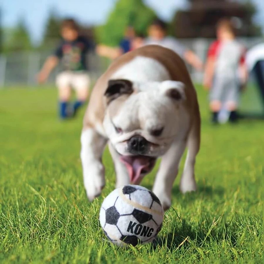 Piłki Kong Sport Kong, zestaw 3 sztuk, rozmiar S: ceny i cechy