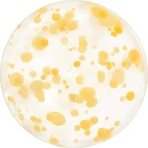 Shiseido Waso Yuzu-C Beauty Sleeping Mask - Moisturizing Night Mask, 50 ml