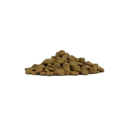Forza10 Maintenance pentru câini adulți de talie medie, cu pește – hrană completă pentru câini, 2 kg