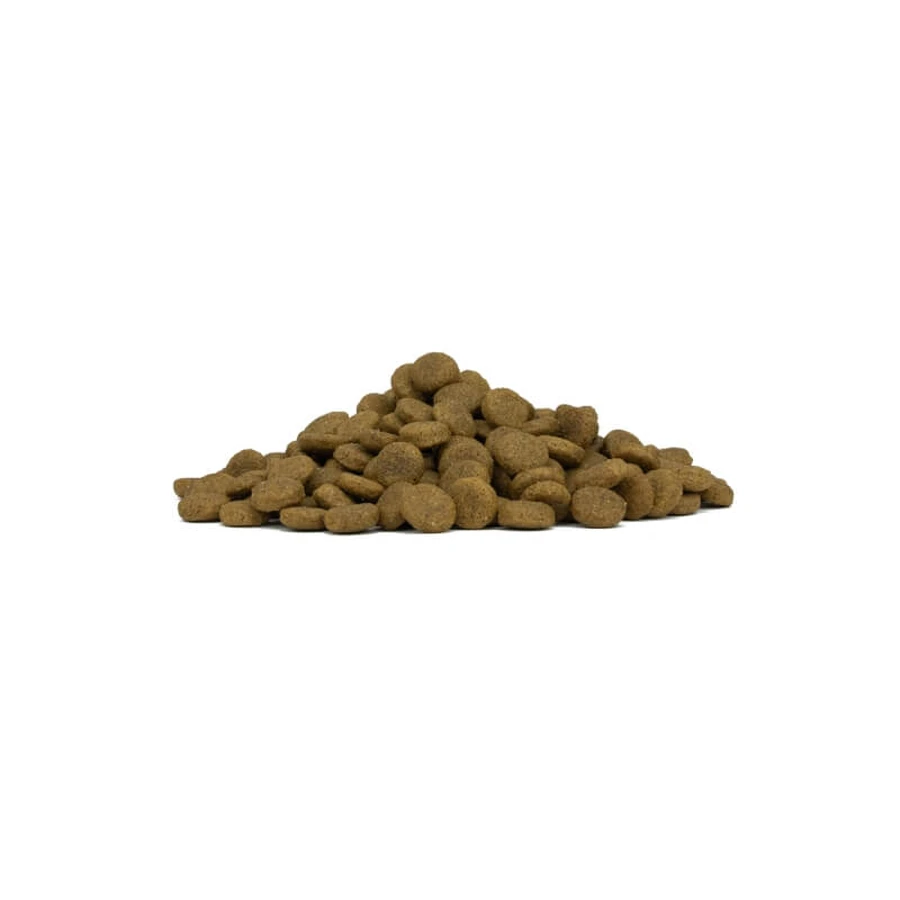 Forza10 Maintenance pentru câini adulți de talie medie, cu pește – hrană completă pentru câini, 2 kg