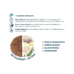 Forza10 Maintenance pentru câini adulți de talie medie, cu pește – hrană completă pentru câini, 2 kg